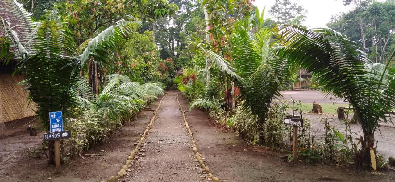 Shipati Lodge Puerto Misahuallí Eksteriør bilde