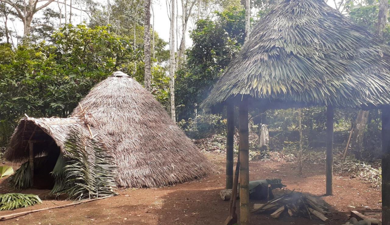 Shipati Lodge Puerto Misahuallí Eksteriør bilde